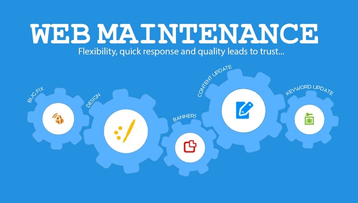 Why Your Business Needs a Professional Website Maintenance Plan 0