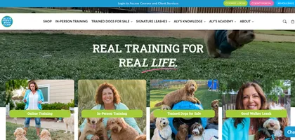 Aly's Puppy Bootcamp